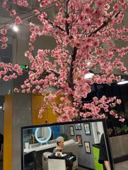 -时尚殿堂明星门店