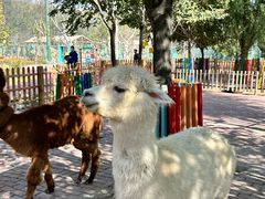 -水上乐园·欢乐世界