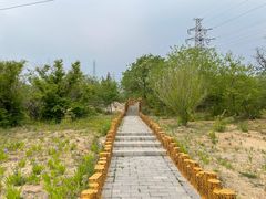 -白水寺森林公园