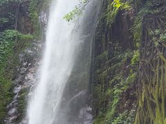 -莫里热带雨林景区