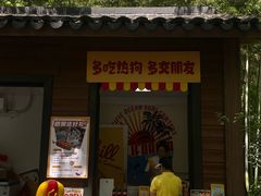 -东明山森林公园