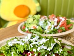 -油梨树AVOCADO TREE(顺义新国展店)