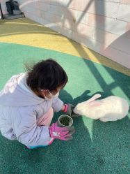 -季高兔窝窝亲子园(上海薰衣草公园店)