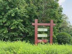 -长春市南湖公园