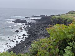 -涉地可支
