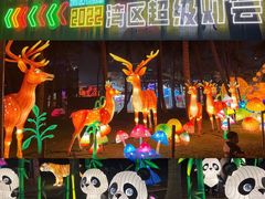 -欢乐海岸椰林沙滩-2025湾区超级灯会