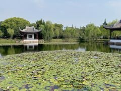 -无锡蠡湖国家湿地公园-蠡园