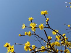 -白塘生态植物园