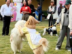 -上海神旺大酒店