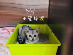 -艾贝尔宠物医院 ·内科全科(梁溪路店)