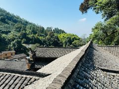 -杨家堂村