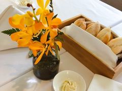 -蝶舍·MAISON PAPILLON