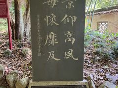 -严子陵钓台(富春江小三峡)