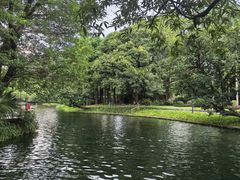 -晓港公园