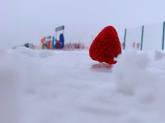 -太子岭滑雪场