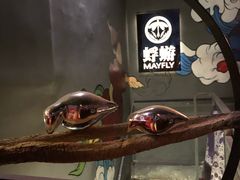 -蜉蝣酒吧(仓山万达店)