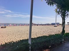 -碧海金沙