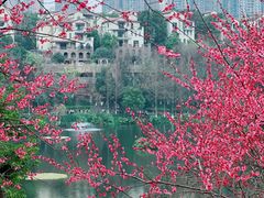 -重庆彩云湖湿地公园