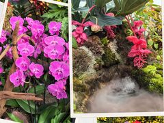 -上海辰山植物园