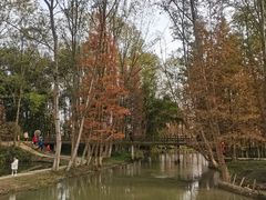 -桤木河湿地公园