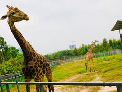 -东莞香市动物园