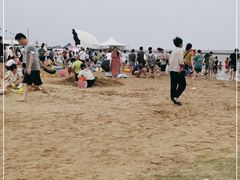 -碧海金沙