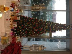 android_upload_pic-安利上海体验馆