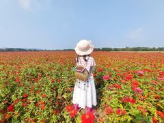 -山明水秀大饭店