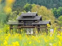-万峰林风景区