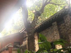 -星巴克(成都锦里店)