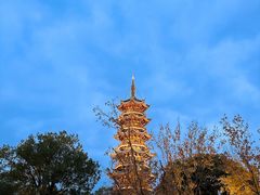 -龙华素斋(龙华路店)