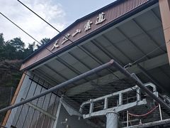 -秦岭天竺山生态文化旅游景区