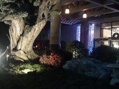 -无锡千禧大酒店·琥珀西餐厅