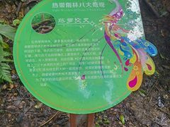 -西双版纳原始森林公园