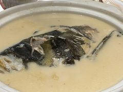 -丹江渔村(望京店)