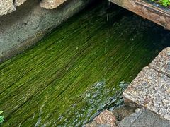 -田德能咖啡博物馆