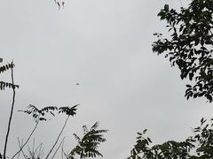 -重庆平顶山公园