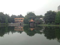 -中山大学学者灵芝(园南路店)