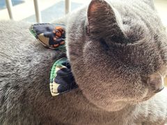 -KKV(深圳宏发大仟里店)