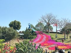 -东莞植物园
