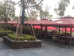 -春花秋色城市公园