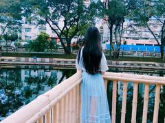-晓港公园