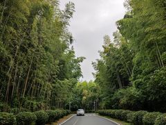 -池州市平天湖风景区