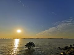 -宝安西湾红树林湿地公园