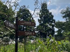-莫干山风景区