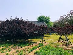 -永定河休闲森林公园