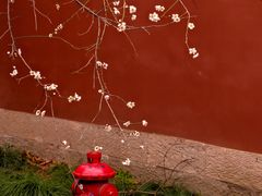 -钱王祠