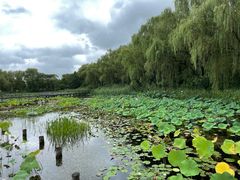 -昆山城市生态森林公园