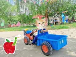 -上美四季动物农场