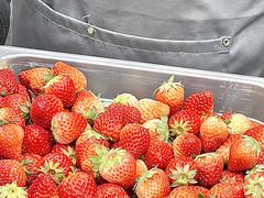 -O2鲜榨果汁(苏州龙湖狮山店)